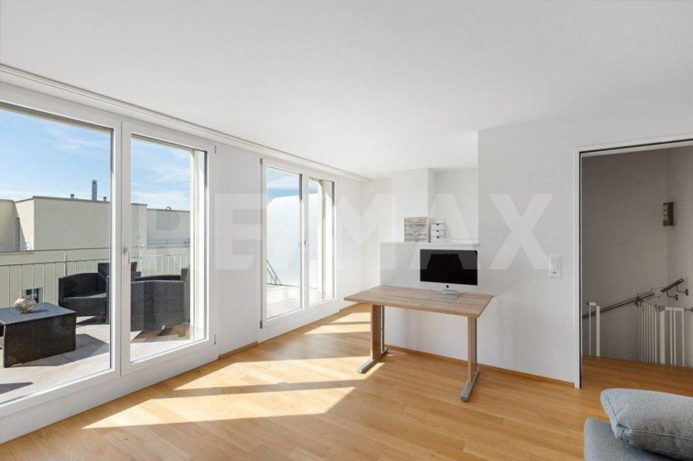 5.5 rooms House to buy in Winterthour - image 1/10