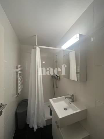 Appartamento di 1 locali in affitto a Neuchâtel - immagine 1/7