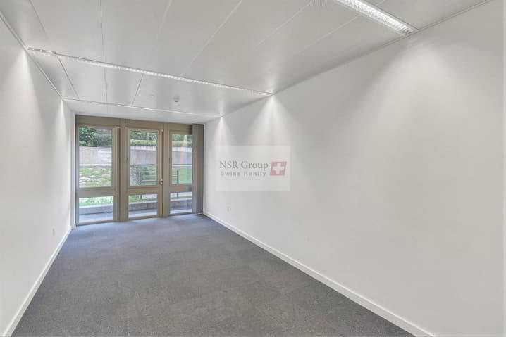 16 rooms Office & Commercial for rent in Geneva - image 1/13