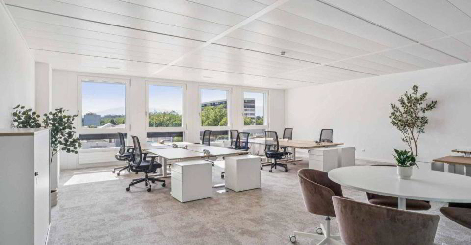 null rooms Office & Commercial for rent in Petit-Lancy - image 1/7