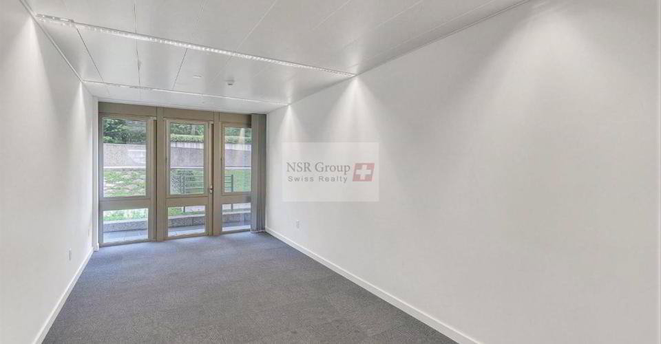 Ufficio & Commercio di null locali in affitto a Ginevra - immagine 1/13