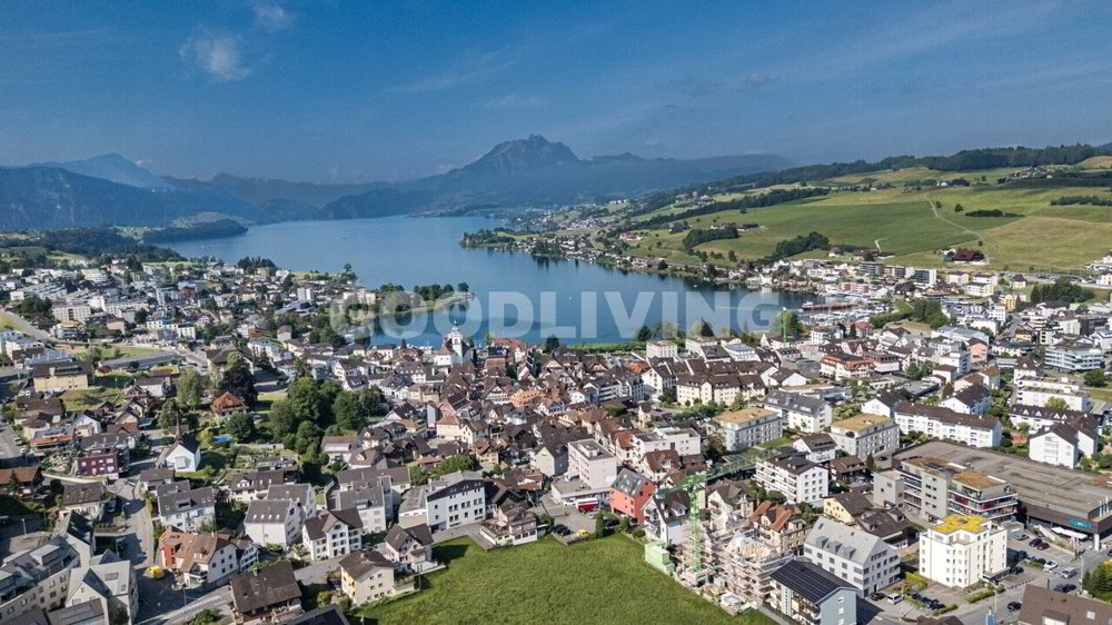 Maison 5 pièces à acheter à Küssnacht am Rigi - image 1/1