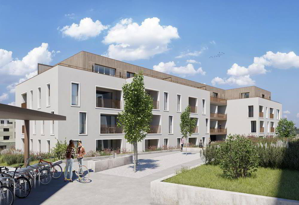 2 Zimmer Wohnung zu vermieten in Echallens - Bild 1/1