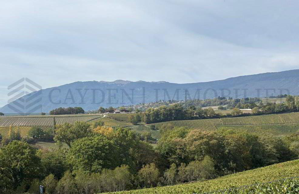 4 rooms Apartment to buy in Satigny - image 1/12