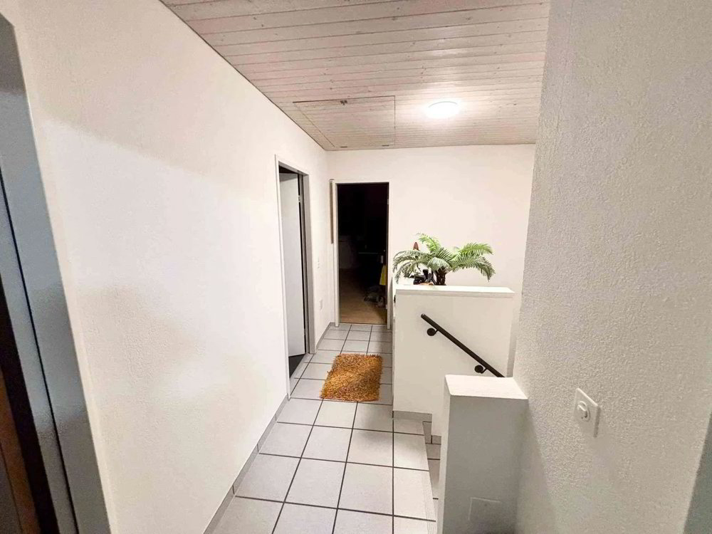 4.5 rooms Apartment for rent in Hochwald - image 1/13