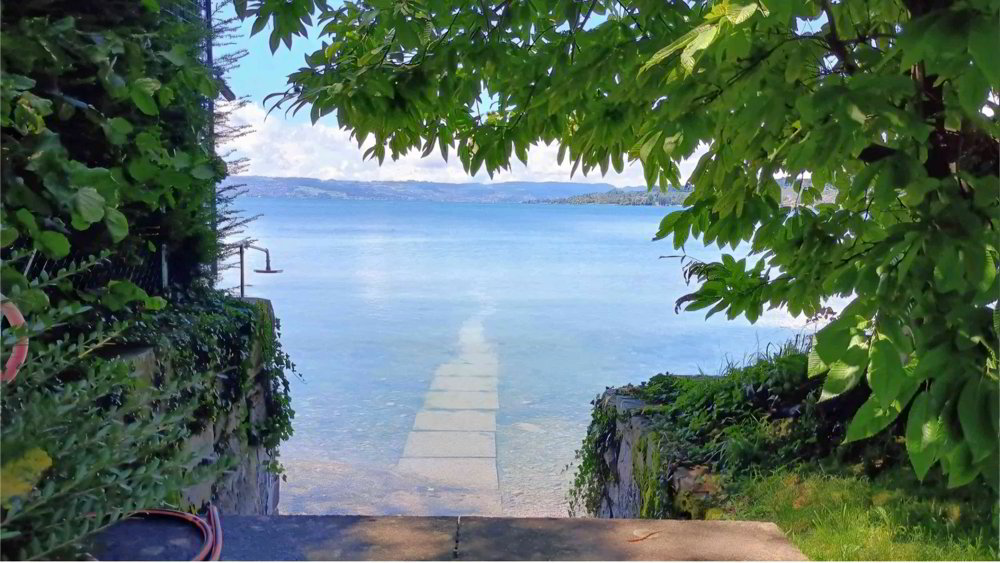 1 rooms Apartment for rent in Rapperswil SG - image 1/9