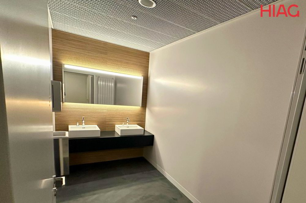 Ufficio & Commercio di null locali in affitto a Meyrin - immagine 1/6