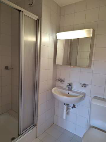 1 rooms Apartment for rent in Martigny - image 1/5