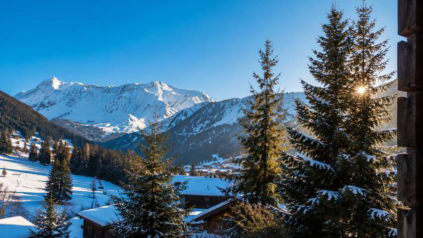 Maison 5 pièces à acheter à Morgins - image 1/3
