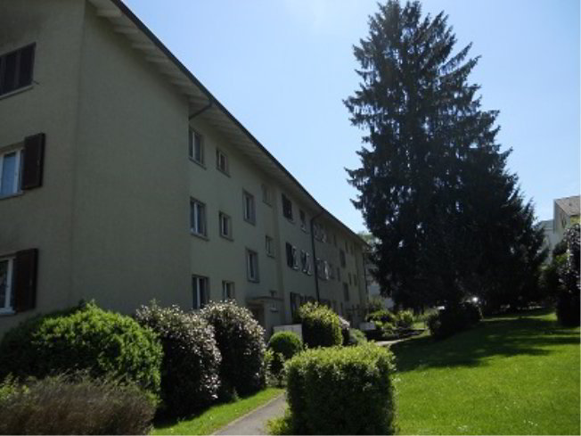 3 rooms Apartment for rent in Rümlang - image 1/1