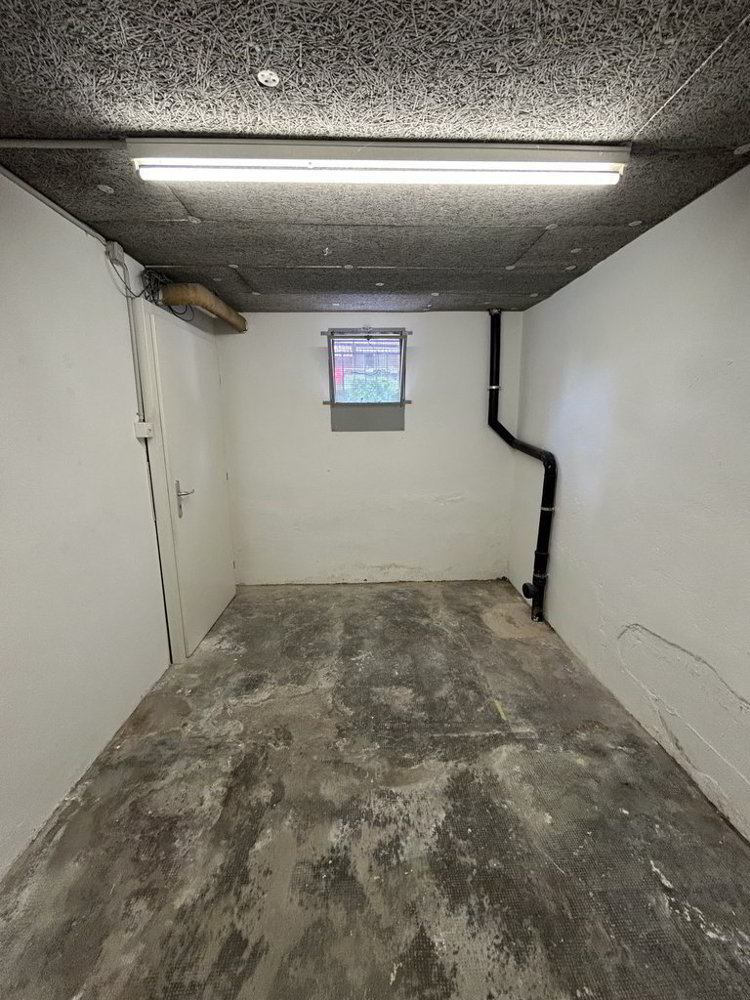 null rooms Office & Commercial for rent in Crissier - image 1/4