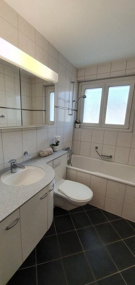 1 Zimmer Wohnung zu vermieten in Fislisbach - Bild 1/4