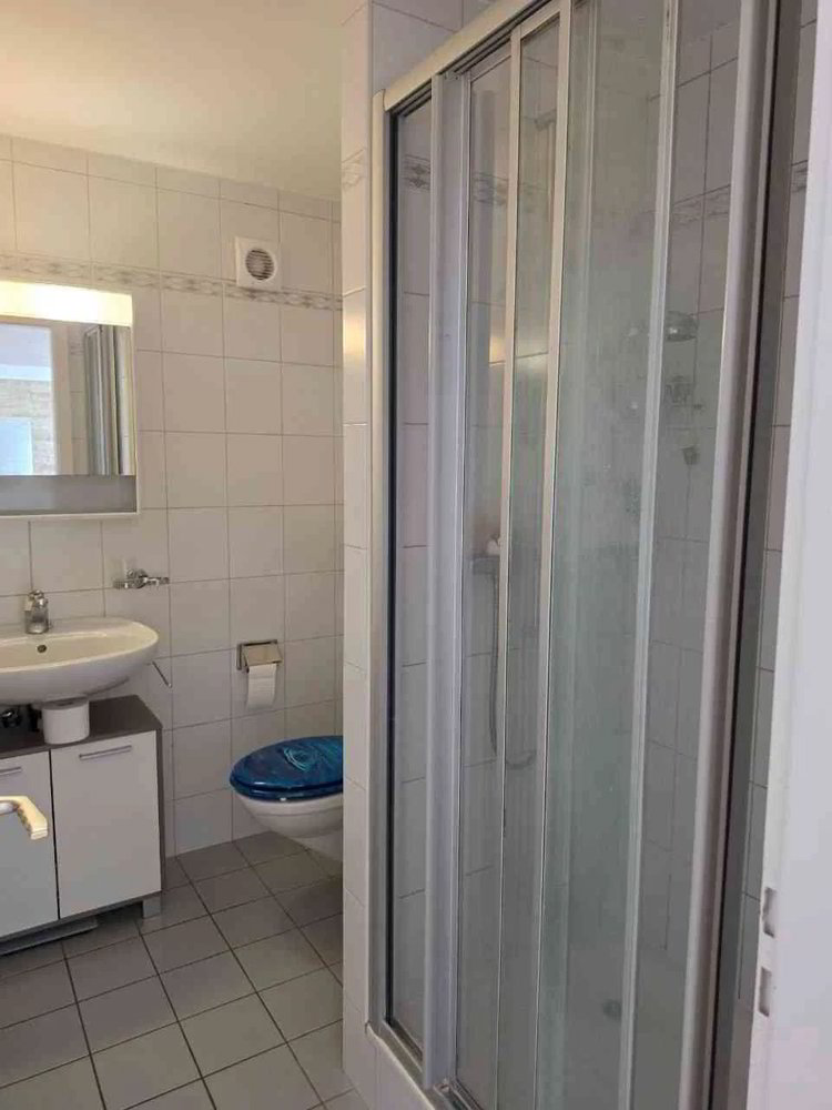 2 Zimmer Wohnung zu vermieten in Jongny - Bild 1/11