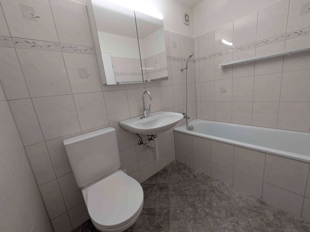 4.5 rooms Apartment for rent in Widen - image 1/10
