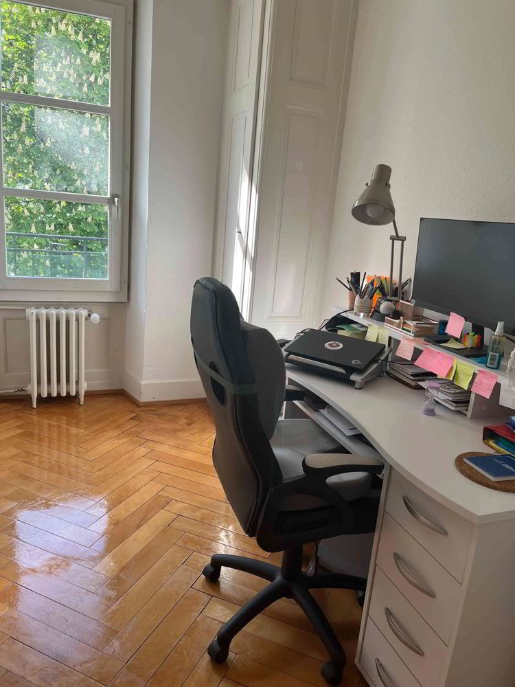 3.5 bedroom property in Charmilles - Ansicht 4