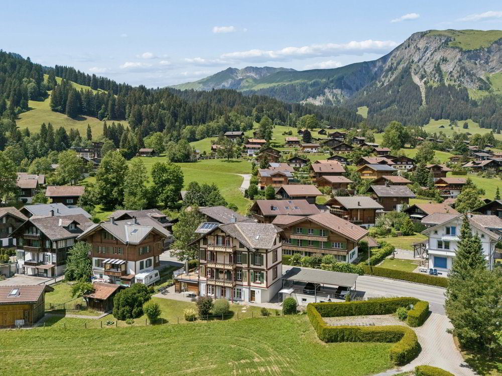 Divers 3.5 pièces à acheter à Lenk im Simmental - image 1/13