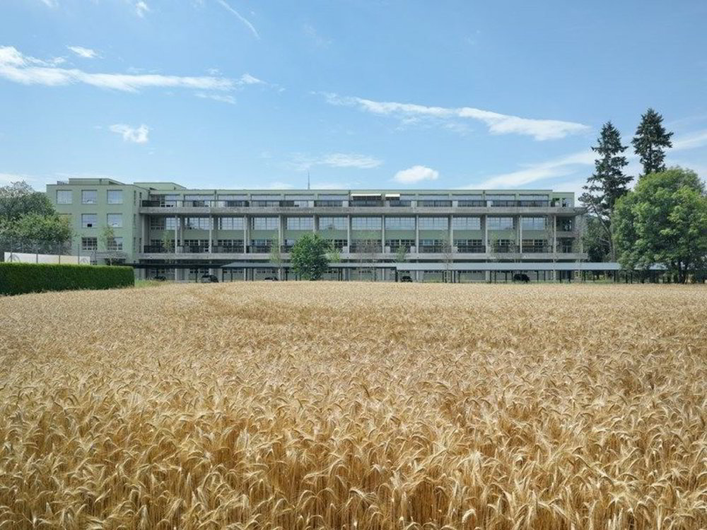 null rooms Apartment for rent in Dulliken - image 1/6