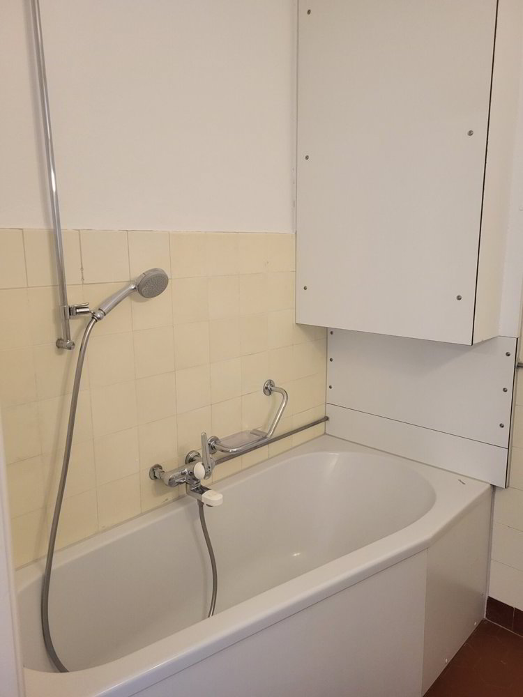 3 rooms Apartment for rent in Brugg AG - image 1/7