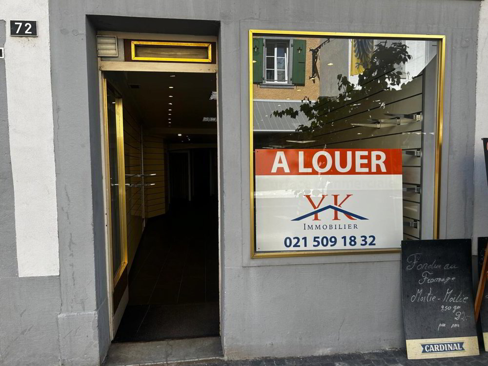 null rooms Office & Commercial for rent in Villeneuve VD - image 1/6