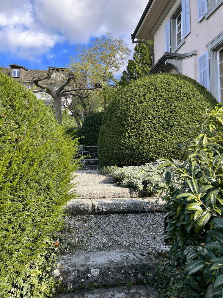 7 rooms House for rent in Winterthur - image 1/13