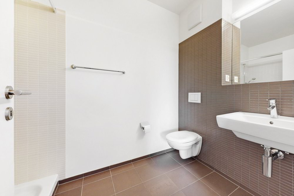 Appartamento di 3 locali in affitto a Allschwil - immagine 1/12
