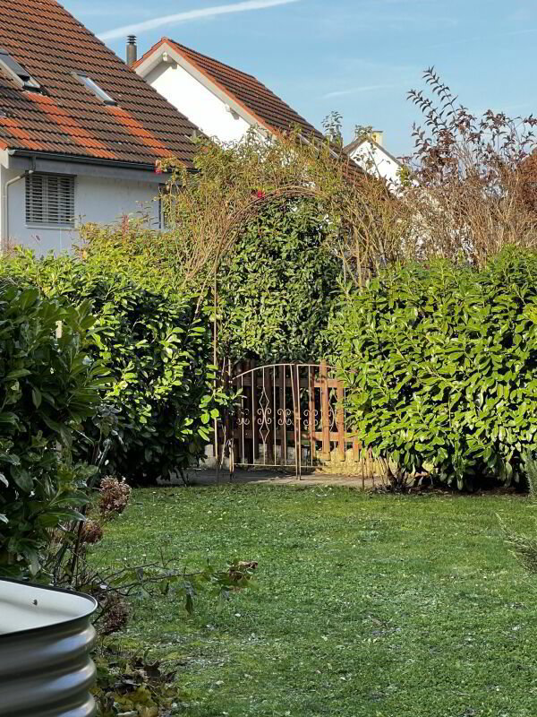 Maison 6 pièces à louer à Magden - image 1/9