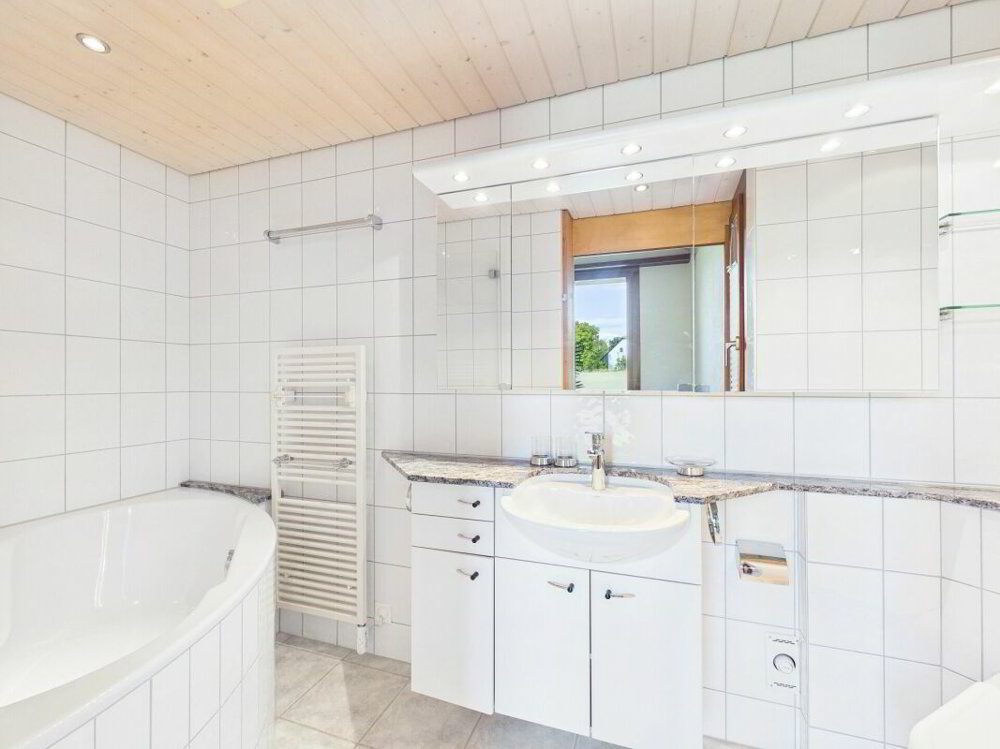 Maison 10 pièces à acheter à Biel-Benken BL - image 1/13