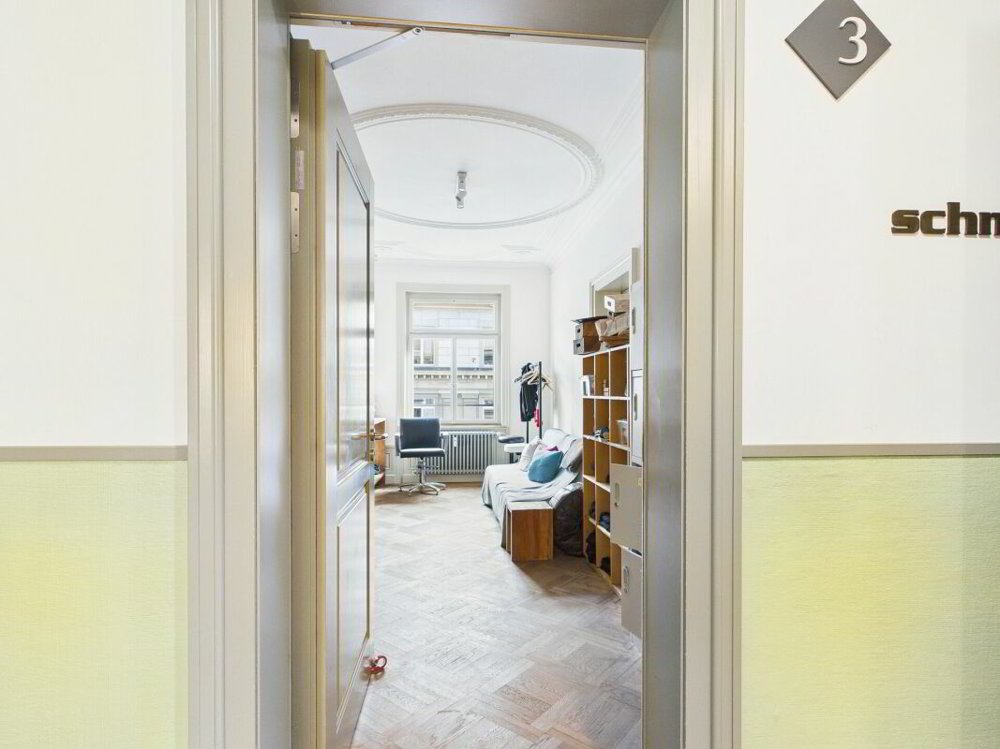 Bureau & Commerce 5 pièces à louer à Zurich - image 1/13