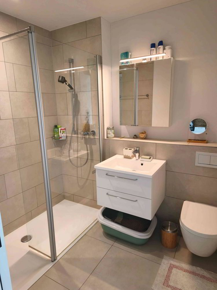 2 Zimmer Wohnung zu vermieten in Morschach - Bild 1/7