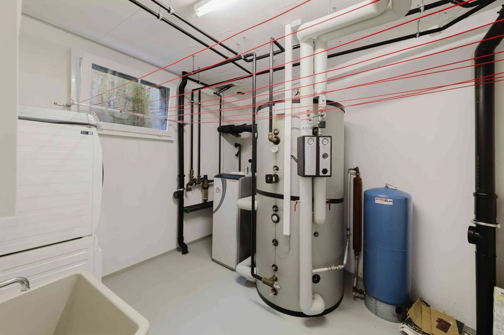 Maison 5.5 pièces à acheter à Bronschhofen - image 1/12