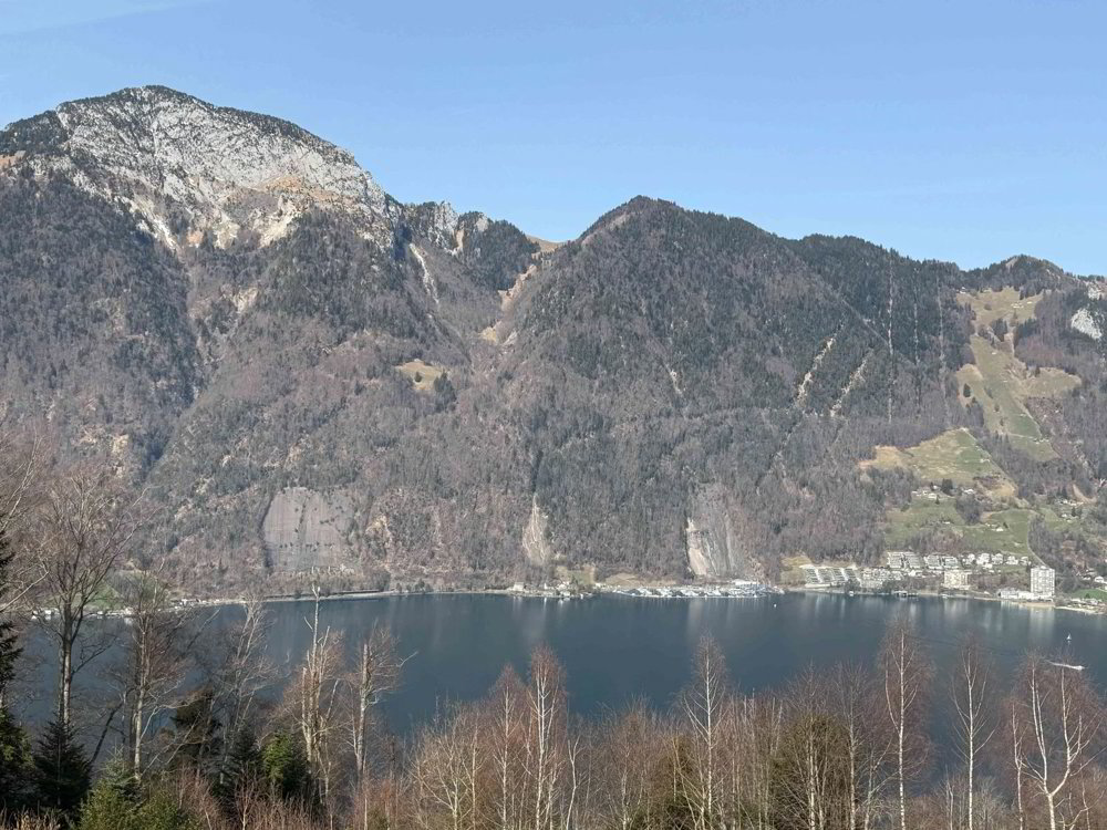 Maison 5.5 pièces à acheter à Beckenried - image 1/1