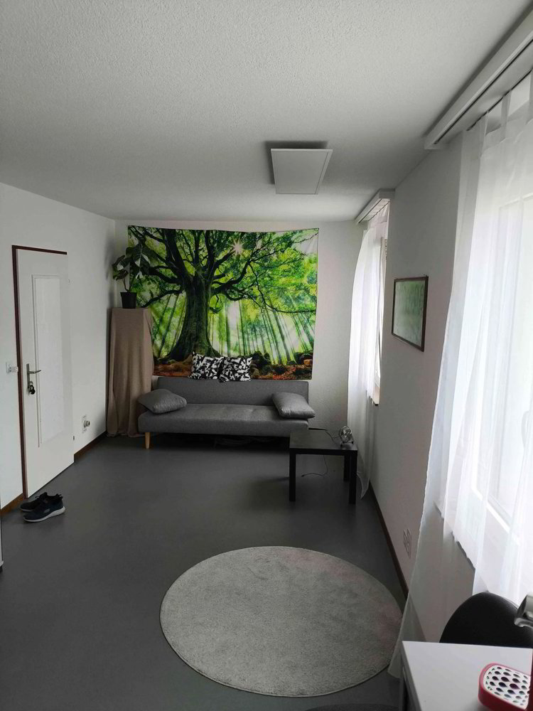 1 rooms Office & Commercial for rent in Eschenbach LU - image 1/3