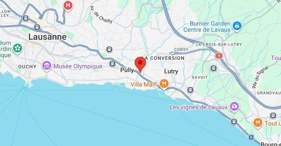Ufficio & Commercio di null locali in affitto a Pully - immagine 1/10