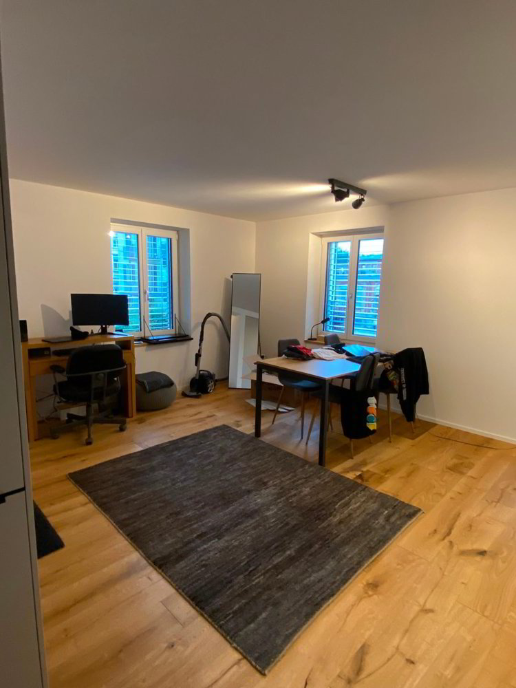 Appartement 1 pièces à louer à Saint-Gall - image 1/5