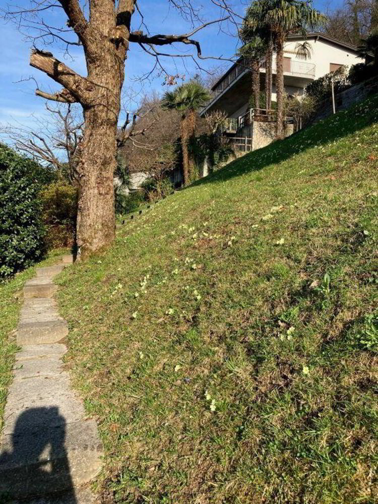 null rooms Land to buy in Magadino - image 1/8