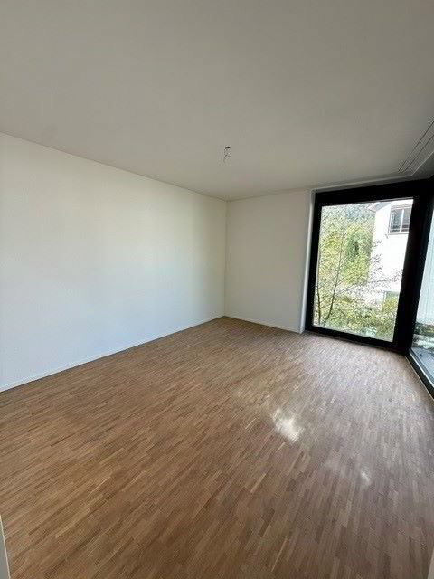 Apartment in Zürich, Wollishofen, Kreis 2 - Ansicht 3