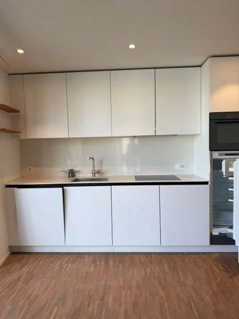 Apartment in Zürich, Wollishofen, Kreis 2 - Ansicht 6