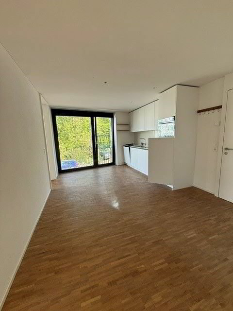 Apartment in Zürich, Wollishofen, Kreis 2 - Mehr