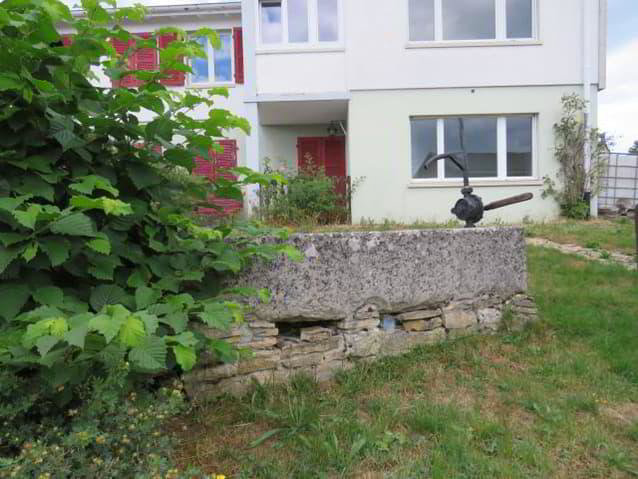 Casa di 8 locali in vendita a Saulcy - immagine 1/13