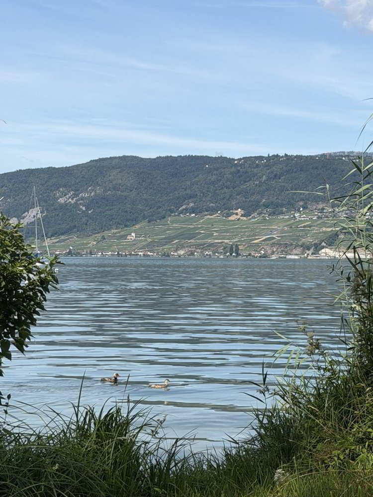 Altro di null locali in vendita a Gerolfingen - immagine 1/22