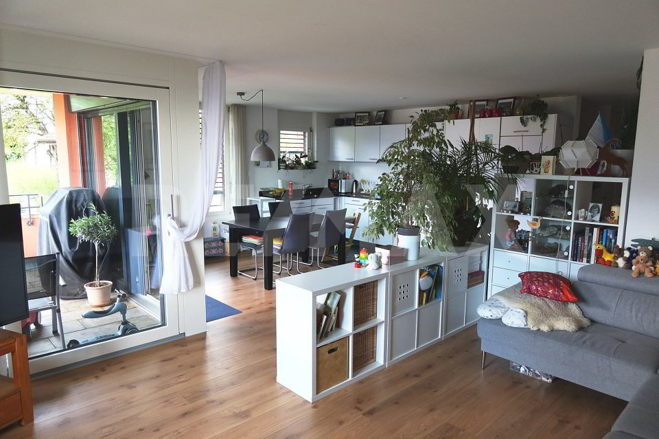 4.5 rooms Miscellaneous for rent in Jenins - image 1/6