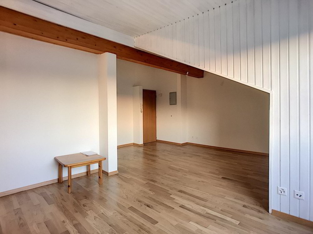 Appartamento di 1 locali in affitto a Fribourg - immagine 1/6