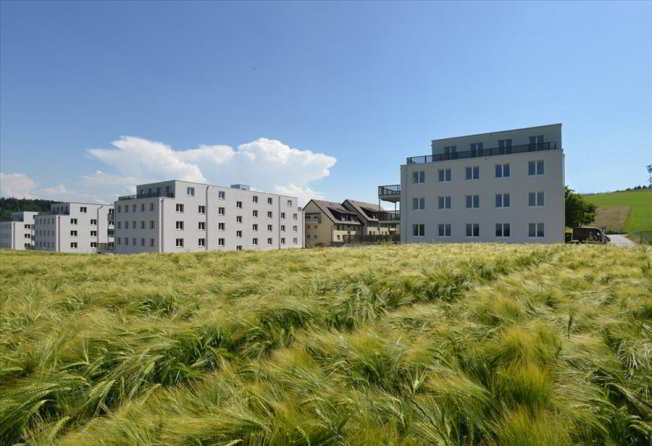 Appartamento di 3 locali in affitto a Niederwangen b. Bern - immagine 1/1