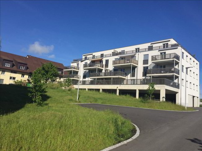 Appartamento di 3 locali in affitto a Niederwangen BE - immagine 1/1