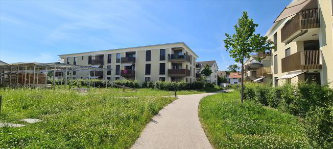 Appartamento di 2 locali in affitto a Roggwil BE - immagine 1/1