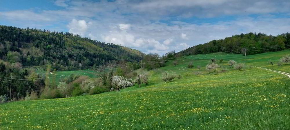 null rooms Land to buy in Liesberg Dorf - image 1/1