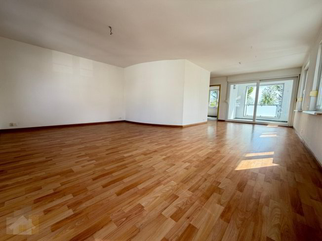Appartamento di 3 locali in affitto a Romanshorn - immagine 1/1