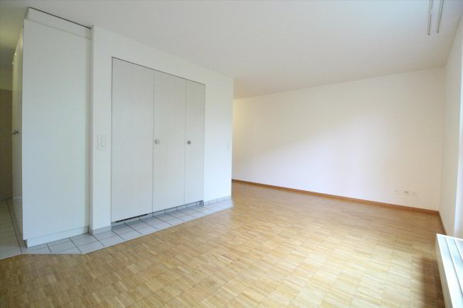 Appartamento di 1 locali in affitto a Wangen b. Olten - immagine 1/1