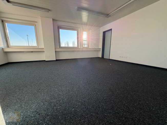 Ufficio & Commercio di null locali in affitto a Romanshorn - immagine 1/1