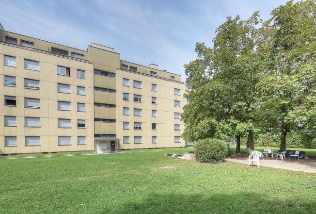 3 Zimmer Wohnung zu vermieten in Fribourg - Bild 1/1